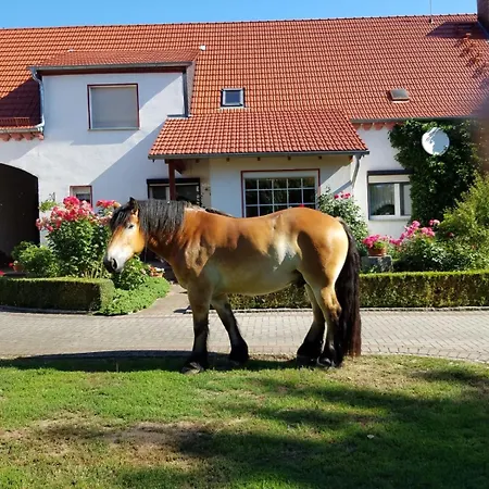 Top-moderne Und Auf Frueherem Wunderschoenen Bauernhof Im Elbe-elster-kreis In Brandenburg Bei Herzberg-elster, Schoenewalde, Holzdorf
