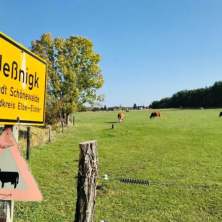 Top-moderne Und Auf Frueherem Wunderschoenen Bauernhof Im Elbe-elster-kreis In Brandenburg Bei Herzberg-elster, Schoenewalde, Holzdorf 쇼네발데