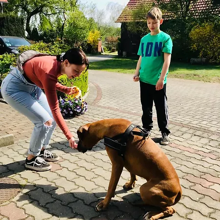 Top-moderne Und Auf Früherem Wunderschönen Bauernhof Im Elbe-elster-kreis In Brandenburg Bei Herzberg-elster, Schönewalde, Holzdorf Apartamento *