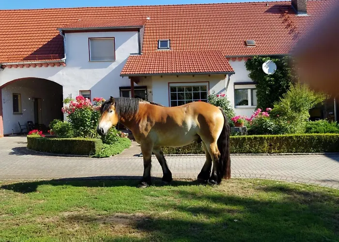 Top-moderne Und Auf Frueherem Wunderschoenen Bauernhof Im Elbe-elster-kreis In Brandenburg Bei Herzberg-elster, Schoenewalde, Holzdorf