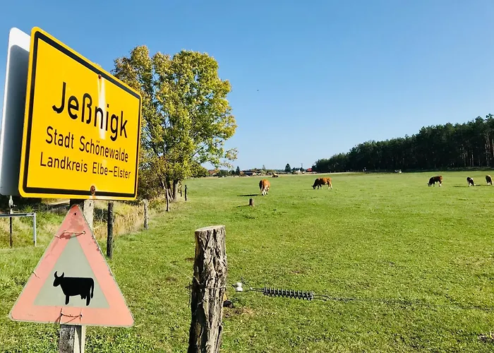 Top-moderne Und Auf Frueherem Wunderschoenen Bauernhof Im Elbe-elster-kreis In Brandenburg Bei Herzberg-elster, Schoenewalde, Holzdorf Schönewalde