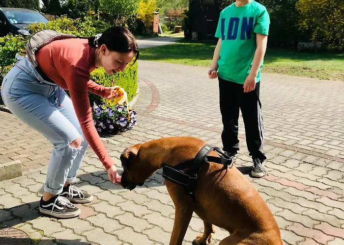 Top-moderne Und Auf Frueherem Wunderschoenen Bauernhof Im Elbe-elster-kreis In Brandenburg Bei Herzberg-elster, Schoenewalde, Holzdorf Appartement *