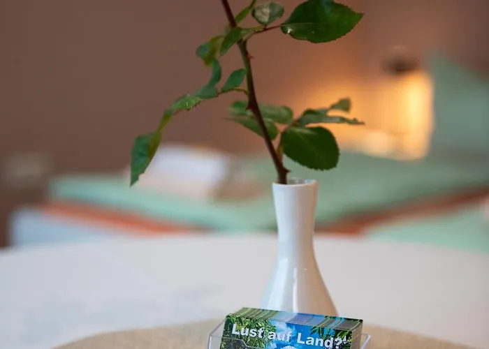 Appartement Top-moderne Und Auf Frueherem Wunderschoenen Bauernhof Im Elbe-elster-kreis In Brandenburg Bei Herzberg-elster, Schoenewalde, Holzdorf